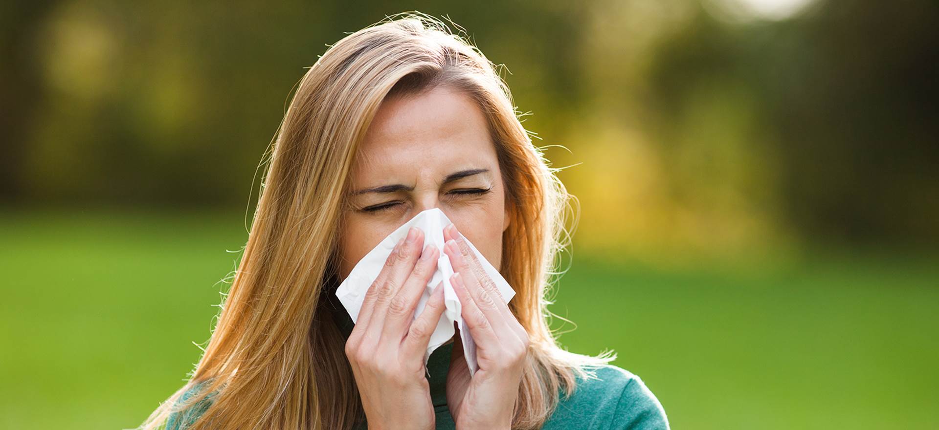 Foto: Shutterstock en bild