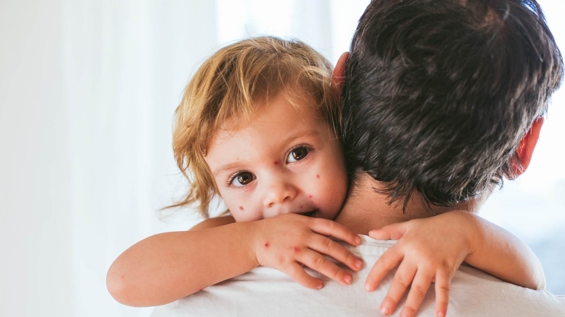 Foto: Shutterstock en bild