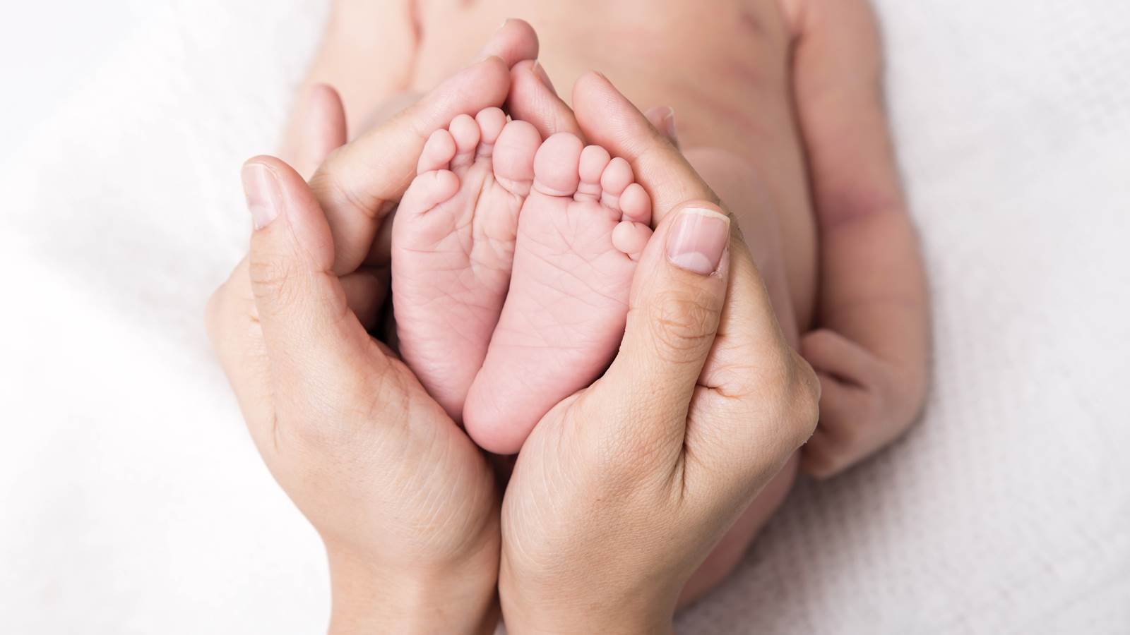Foto: Shutterstock en bild